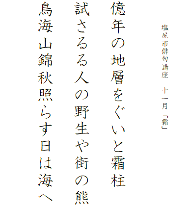 


　　　塩尻市俳句講座　十一月「霜」




億年の地層をぐいと霜柱

試さるる人の野生や街の熊

鳥海山錦秋照らす日は海へ

