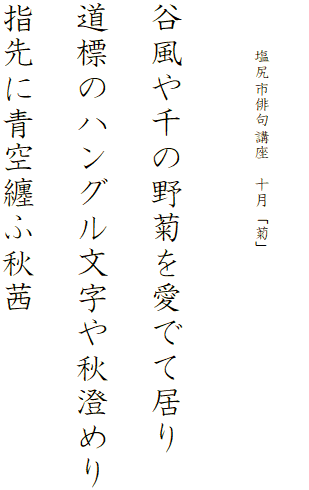


　　　塩尻市俳句講座　十月「菊」




谷風や千の野菊を愛でて居り

道標のハングル文字や秋澄めり

指先に青空纏ふ秋茜