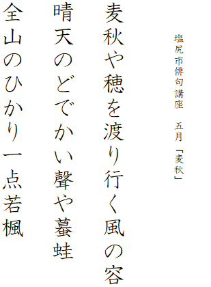 


　　　塩尻市俳句講座　五月「麦秋」




麦秋や穂を渡り行く風の容

晴天のどでかい聲や蟇蛙

全山のひかり一点若楓
